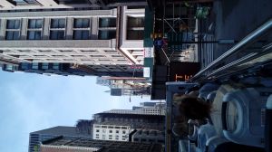 20170430_091014.jpg